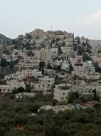 حمزة  صبح 