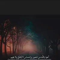 ابو سليمان