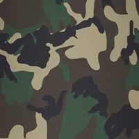 Mm mohammad