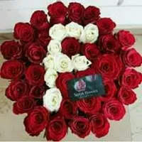 fadi alasmar الاسمر
