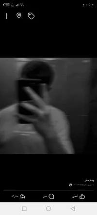 Wessam Hadidy