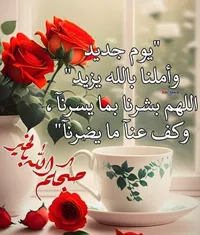 member16428068611