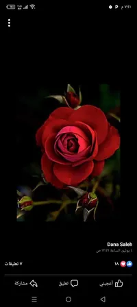 ام ليان