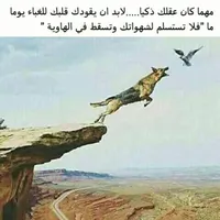 شفيق