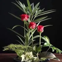 فورد ‏تورس ‏SE ‏2013