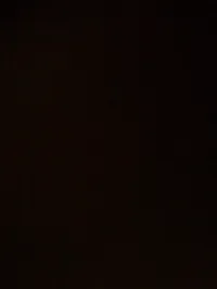 علا العموش