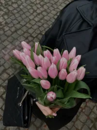 ملكه سيد احمد 