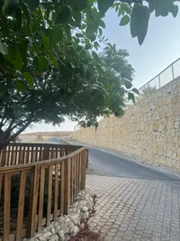 ملاك دويكات