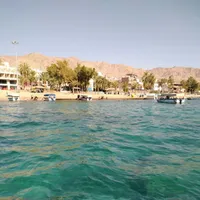 حسن محمود