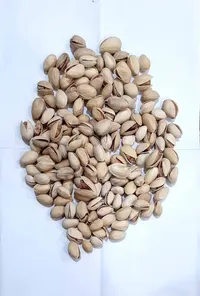 iranian ahmad aghai pistachio with the best quality