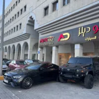بي واي دي ‏دولفين ‏2022