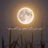 محمد ريتانو