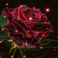 hossam aljbour