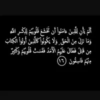Safaa Owaimer
