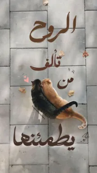 Handcrafts -Bethlehem