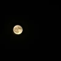 أبل ‏ايفون 15 برو ماكس ‏256 جيجابايت ‏رمادي