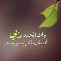 8766f8c4-83cf-4aa9-929b-fc9d0b2f6486