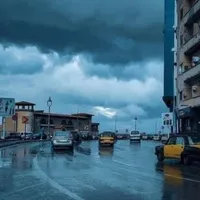 صقر