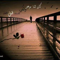 طه ابوسيف