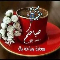 محمد المومني