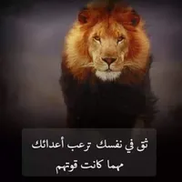 موسى  ال هديب