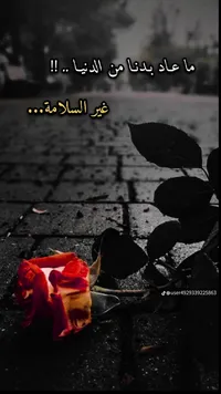 محمود النعيمي