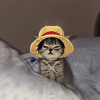 يحيى الشوابكة 