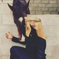 ابو راشـــد