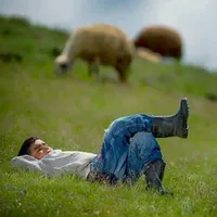Hamzeh