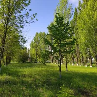 75ac90f4-71e4-4453-b2b7-786fc4e1c4c7