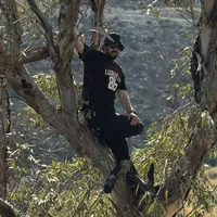 بسام ظريفة