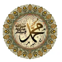 محمد المهدي  ربابعه