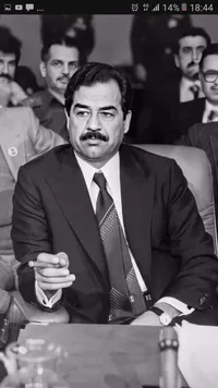 محمد  فيصل