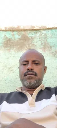 محمد طائع كرم الله ابراهيم