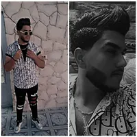 نورس