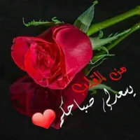 تويوتا ‏FJ ‏Top ‏2016