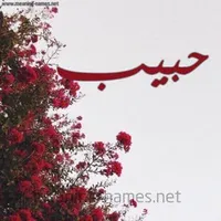 حبيب محسن