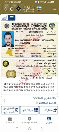 محمد كامل محمد  محمد القاضي 