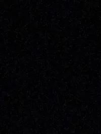 وائل الزوهره