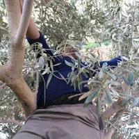 يارب فرجك