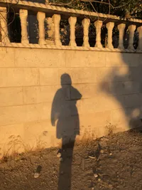 غدير اسليمية