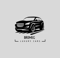 Brimig Trading L.L.C