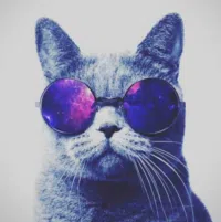 Dodge ‏Ram ‏Standard ‏2016