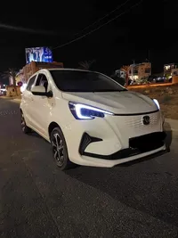 Anas Hamad