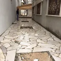 ابو يحيى عليان