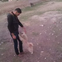 محمد للمقاولات العامة
