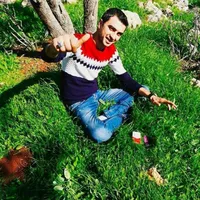 محمد الشويات