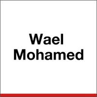 Wael Mohamed