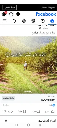 Hammam Almryat