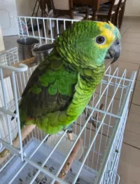 image0